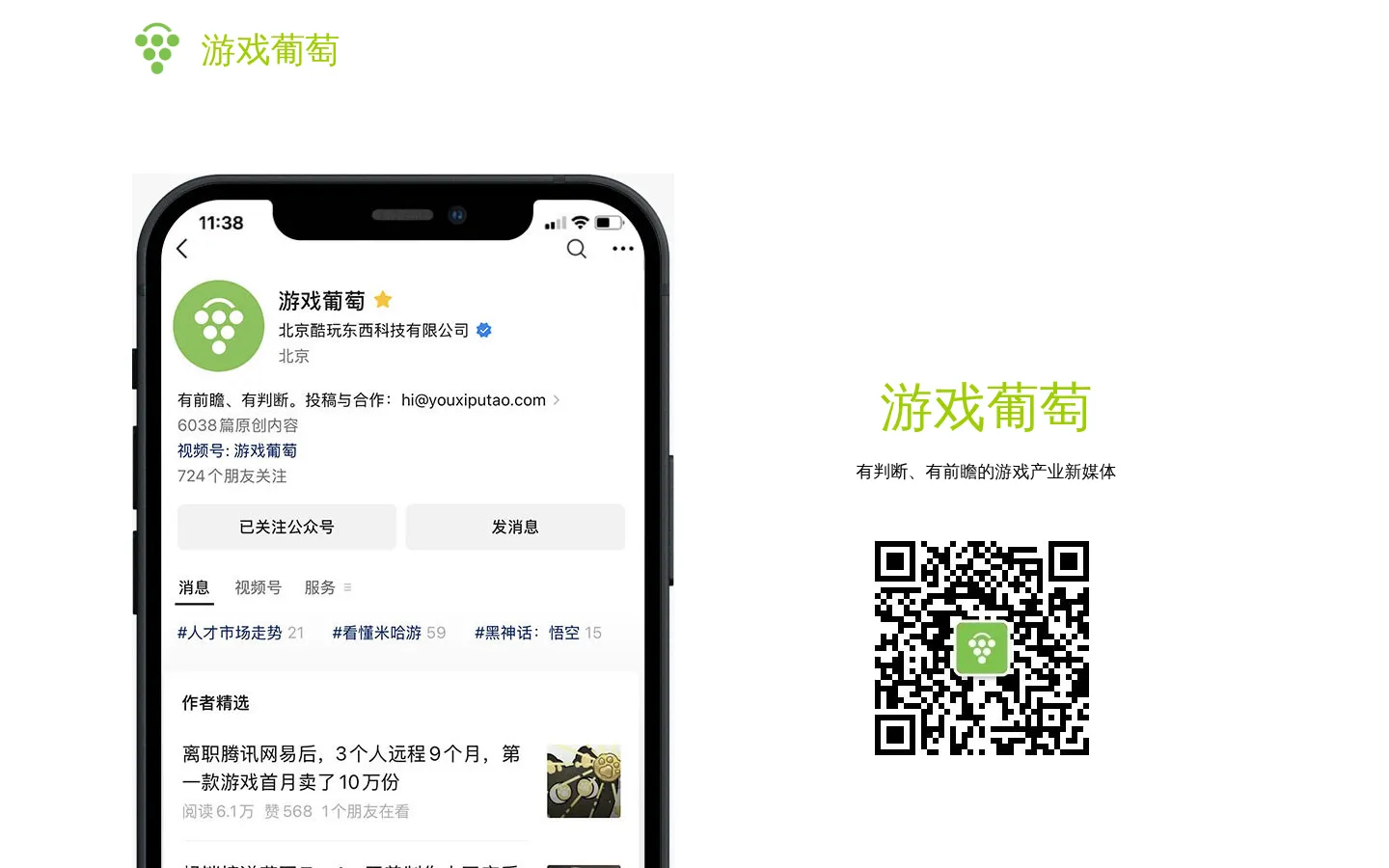游戏葡萄 网站预览图