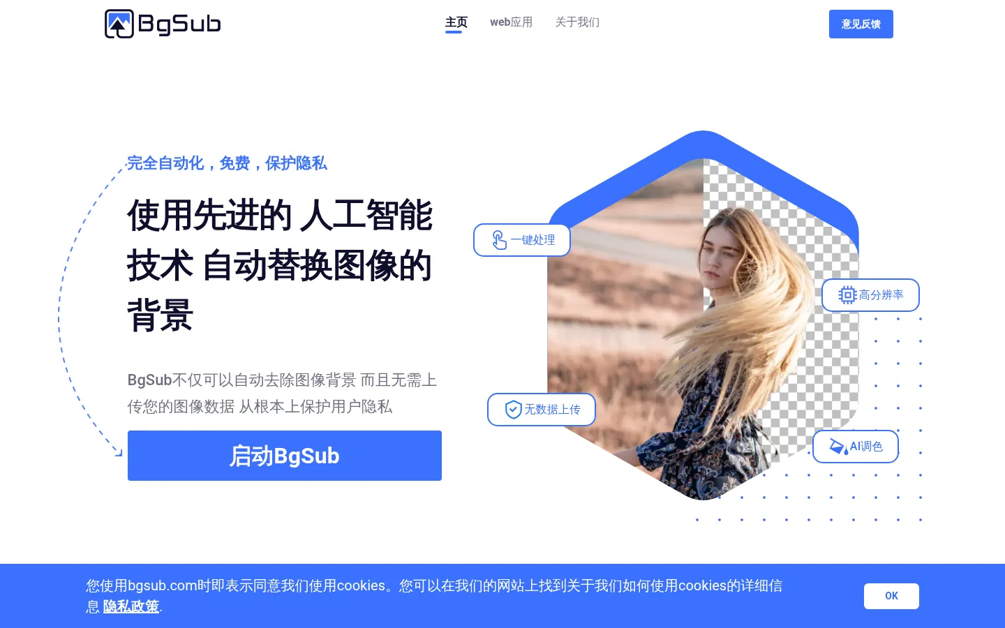 消除或者替换图像背景，无需上传图像 - BgSub 网站预览图