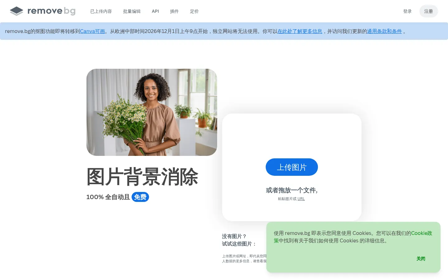 Remove Background from Image for Free – remove.bg 网站预览图