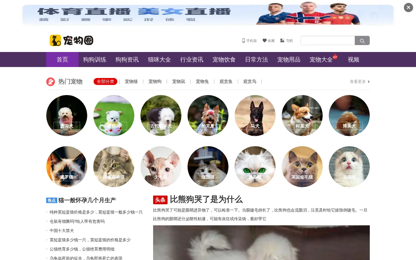 宠物圈 - 专注于狗狗美容护理狗狗训练教程 网站预览图