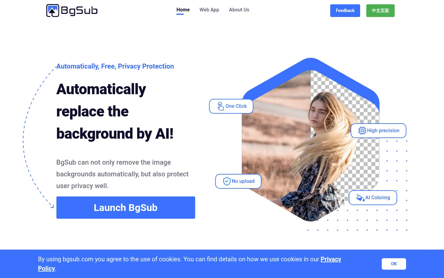 Remove or replace image background without upload image - BgSub 网站预览图