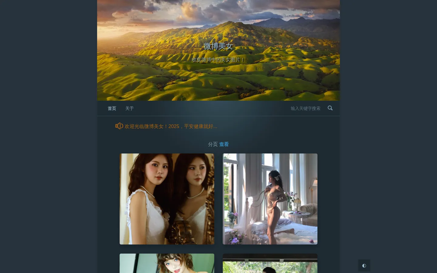 首页 - 微博美女 网站预览图