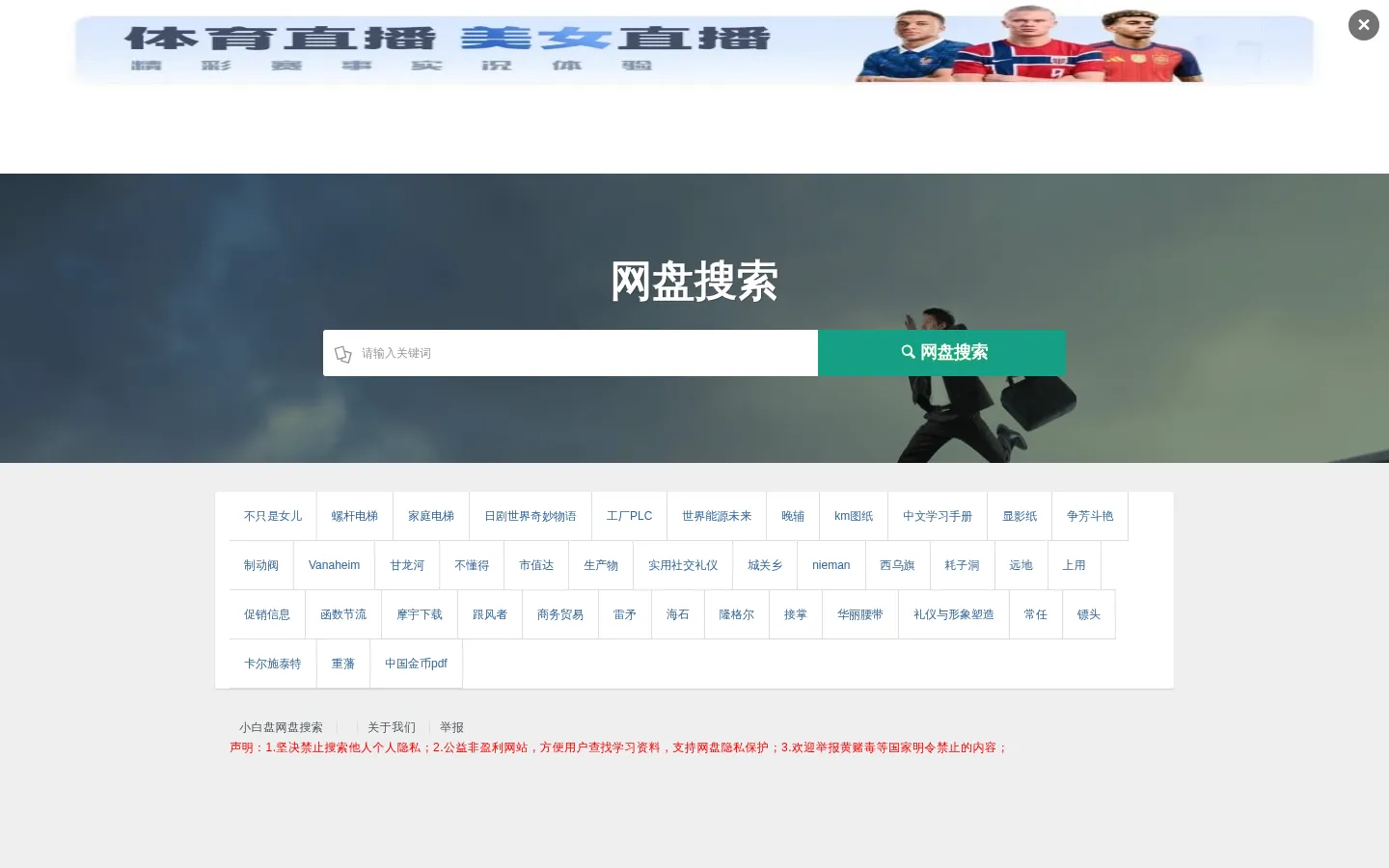 网盘搜索-小白盘 网站预览图