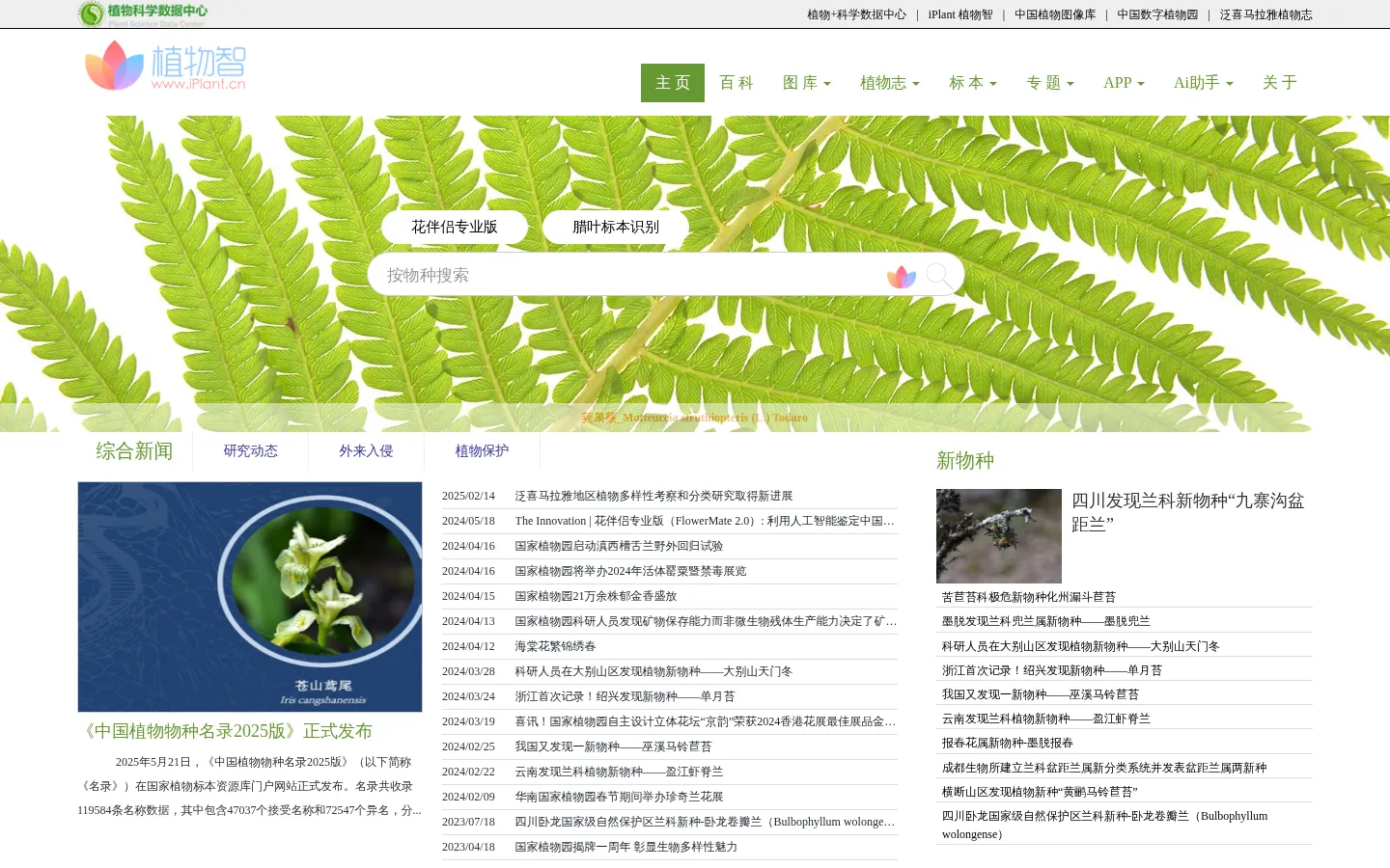 iPlant 植物智——植物物种信息系统 网站预览图