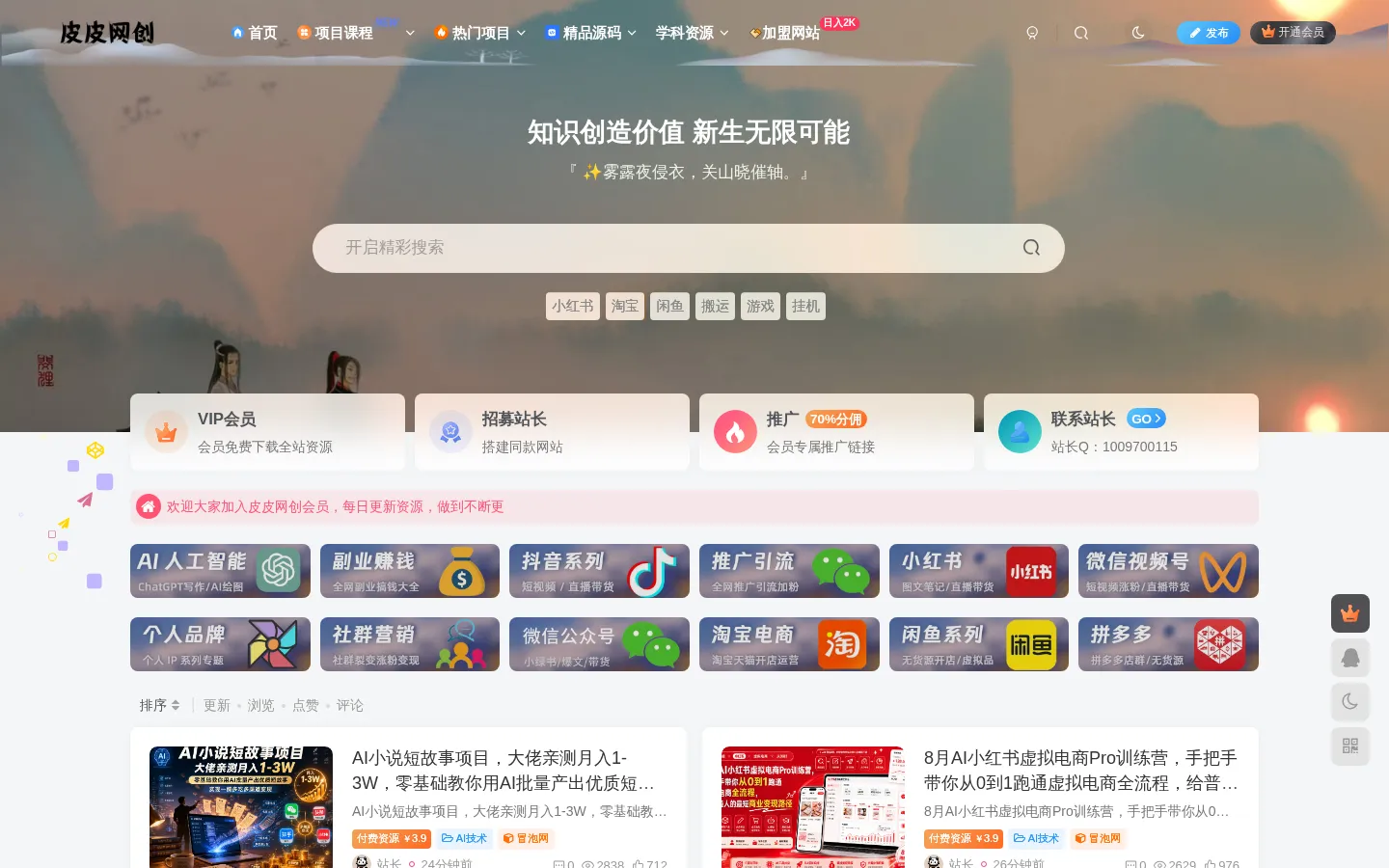 皮皮网创-专注互联网创业项目,信息差副业研究,拒绝割韭菜 网站预览图